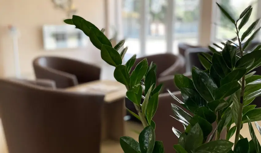 reg-t Hotel Tata - Mjus 1. 