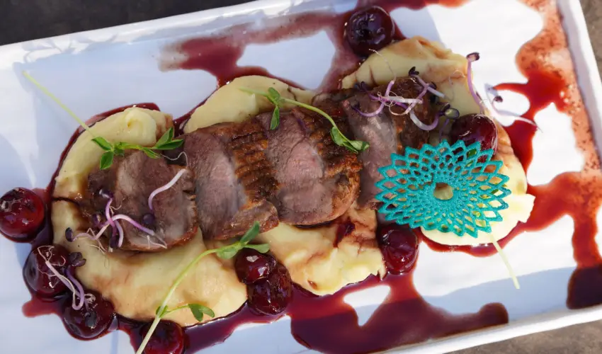 reg-t Hotel Tata - Mjus 1. 