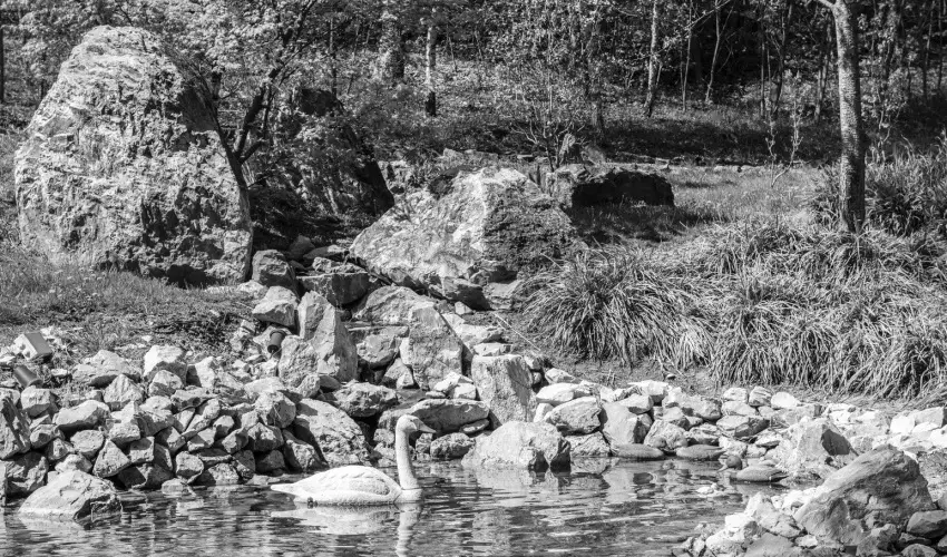 Oxigén Family Hotel Noszvaj - Május 1.