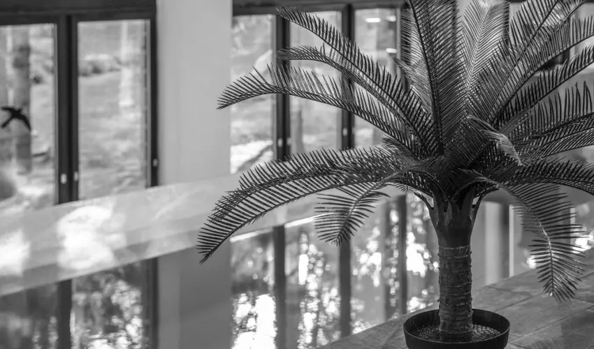 Oxigén Family Hotel Noszvaj - Május 1.