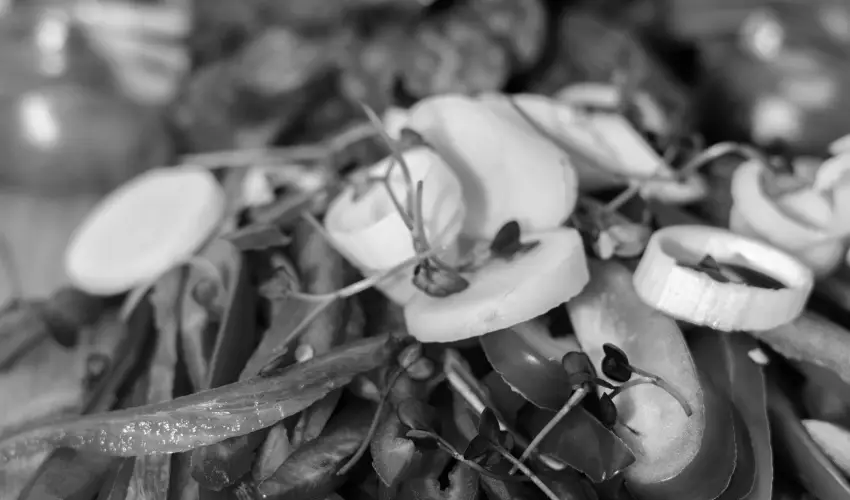 Oxigén Family Hotel Noszvaj - Május 1.