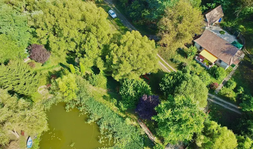 Palcliget Vendghz Ktbodony - Mjus 1. (min. 2 j)