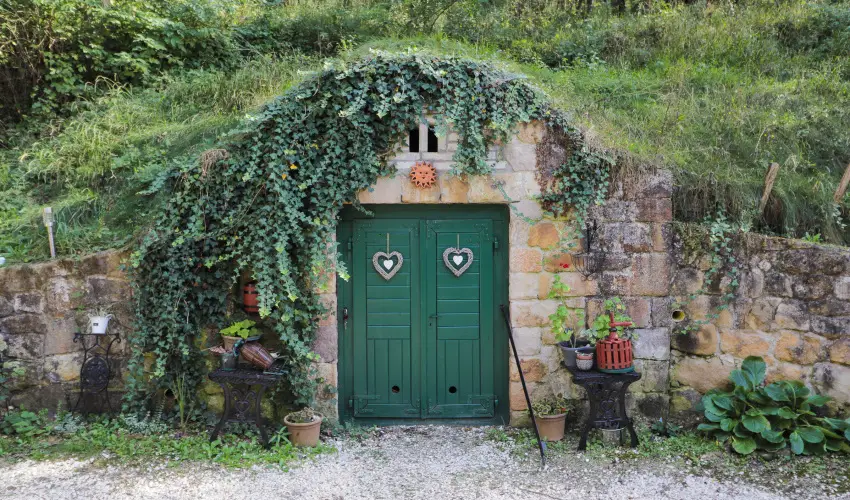 Palcliget Vendghz Ktbodony - Mjus 1. (min. 2 j)