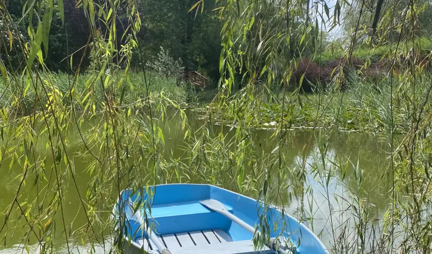 Palcliget Vendghz Ktbodony - Mjus 1. (min. 2 j)