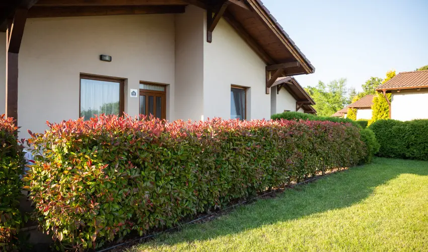 Pandora Zsry Apartmanok Mezkvesd - Mjus 1. 