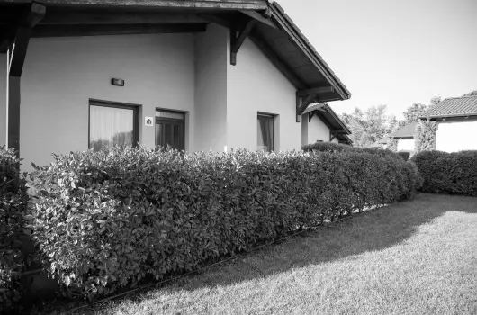 Pandora Zsry Apartmanok - Mjus 1. 