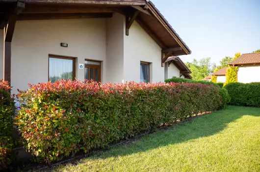 Pandora Zsry Apartmanok - Mjus 1. 