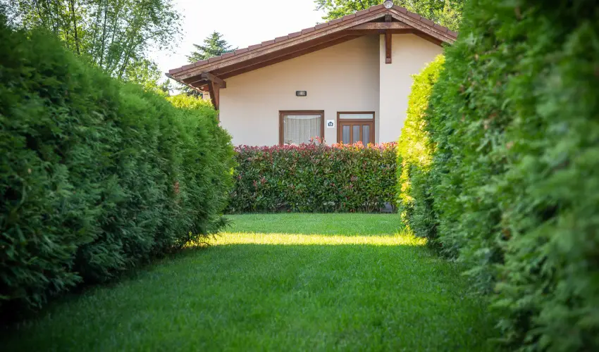 Pandora Zsry Apartmanok Mezkvesd - Mjus 1. 