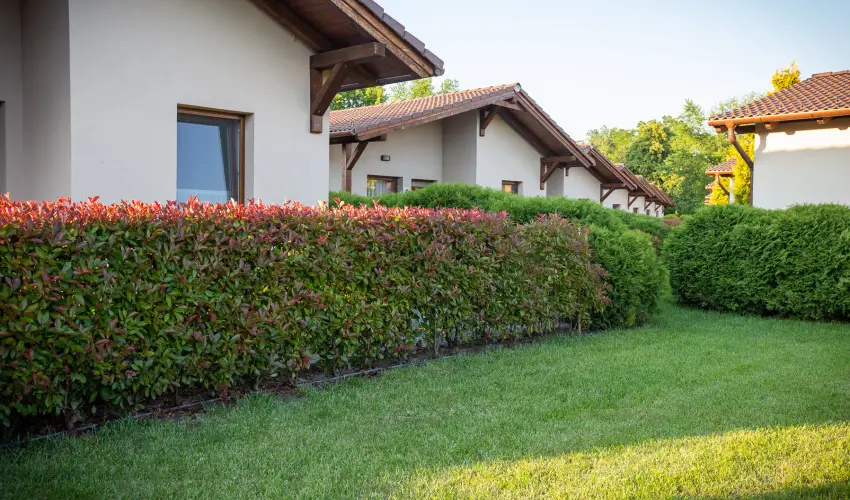 Pandora Zsry Apartmanok Mezkvesd - Mjus 1. 