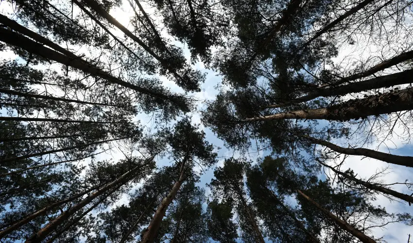 Panorma Hotel Noszvaj Noszvaj - Mjus 1. 