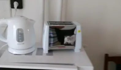 Paprika Vendghz Harkny