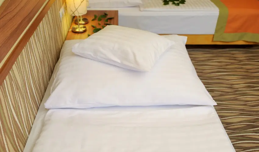 Park Hotel Gyula Gyula - Mjus 1. (min. 2 j)