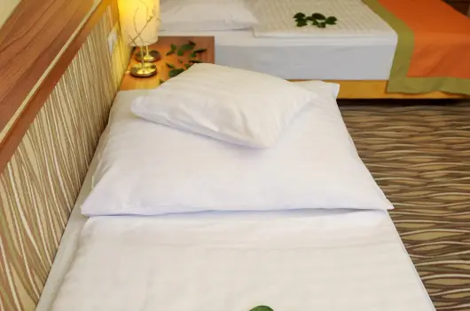 Park Hotel Gyula - Mjus 1. (min. 2 j)