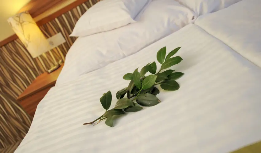 Park Hotel Gyula Gyula - Mjus 1. (min. 2 j)