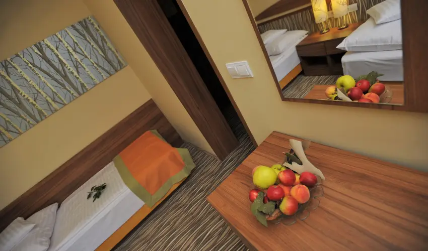 Park Hotel Gyula Gyula - Mjus 1. (min. 2 j)