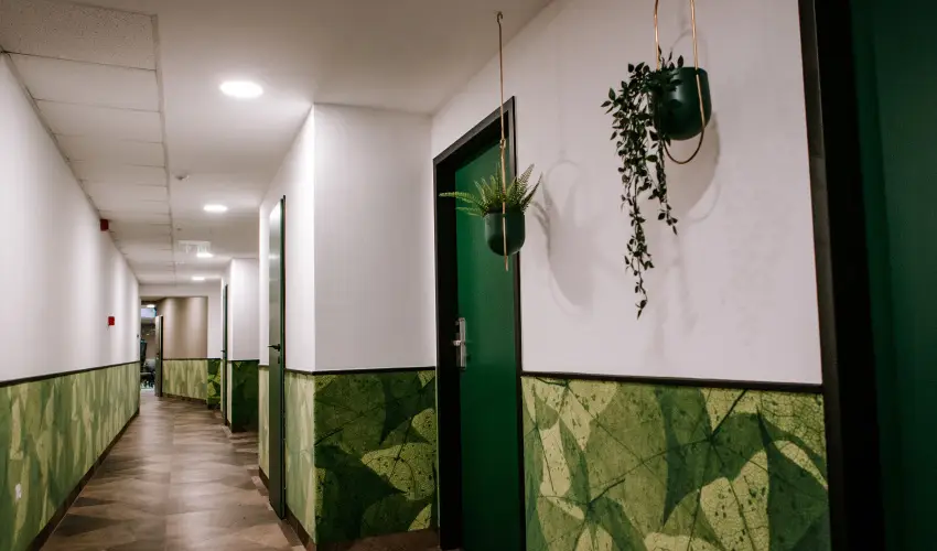 Park Hotel S�st� Ny�regyh�za - M�jus 1. - teljes el�refizet�ssel (min. 2 �j)