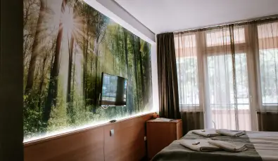 Park Hotel S�st� Ny�regyh�za