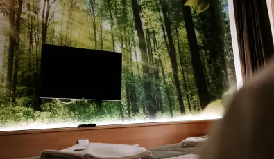 Park Hotel S�st� Ny�regyh�za