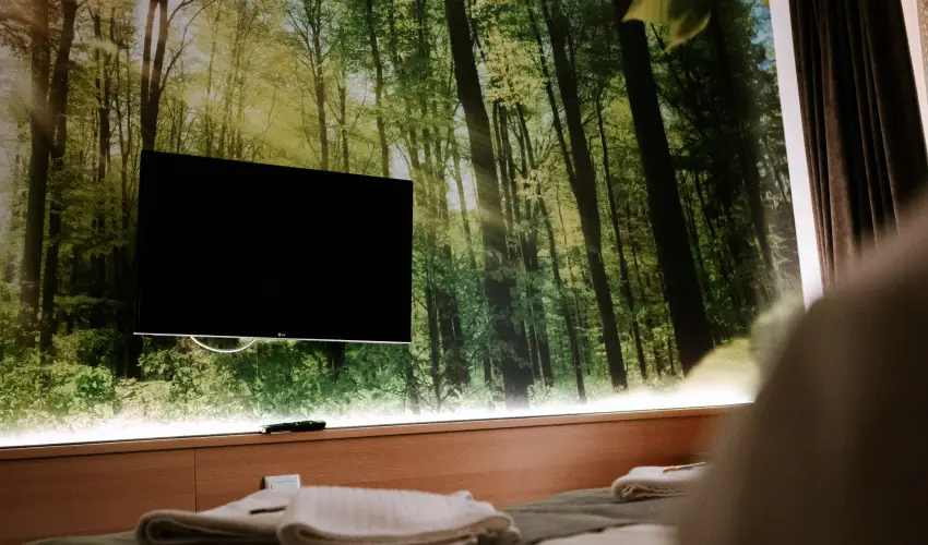 Park Hotel S�st� Ny�regyh�za - M�jus 1. - teljes el�refizet�ssel (min. 2 �j)