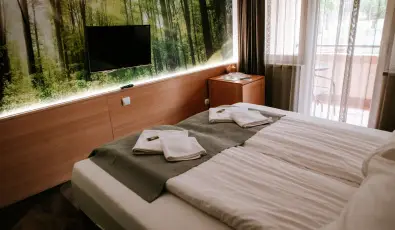 Park Hotel S�st� Ny�regyh�za