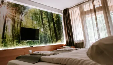 Park Hotel S�st� Ny�regyh�za