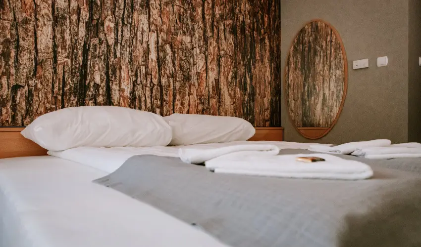 Park Hotel S�st� Ny�regyh�za - M�jus 1. - teljes el�refizet�ssel (min. 2 �j)