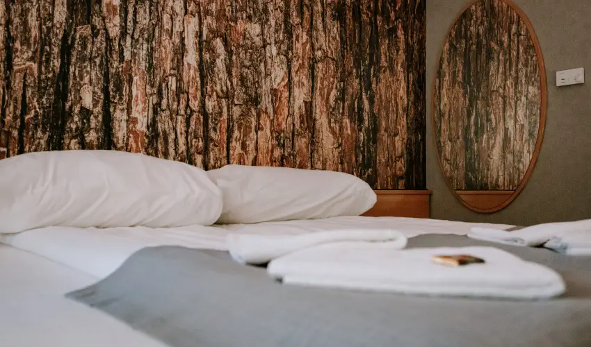 Park Hotel S�st� Ny�regyh�za - M�jus 1. - teljes el�refizet�ssel (min. 2 �j)