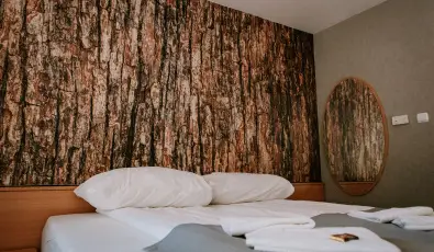 Park Hotel S�st� Ny�regyh�za