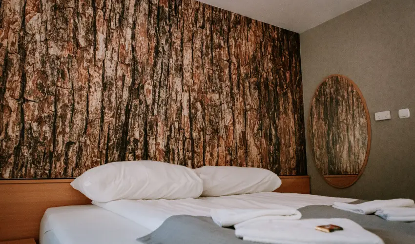 Park Hotel S�st� Ny�regyh�za - M�jus 1. - teljes el�refizet�ssel (min. 2 �j)