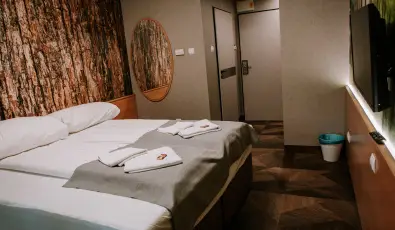 Park Hotel S�st� Ny�regyh�za