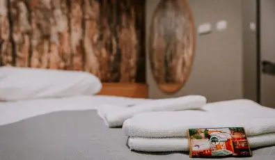 Park Hotel S�st� Ny�regyh�za