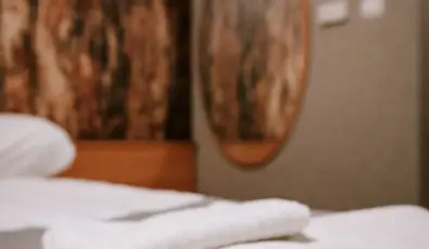 Park Hotel S�st� Ny�regyh�za