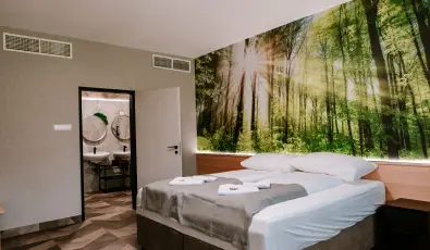 Park Hotel S�st� Ny�regyh�za