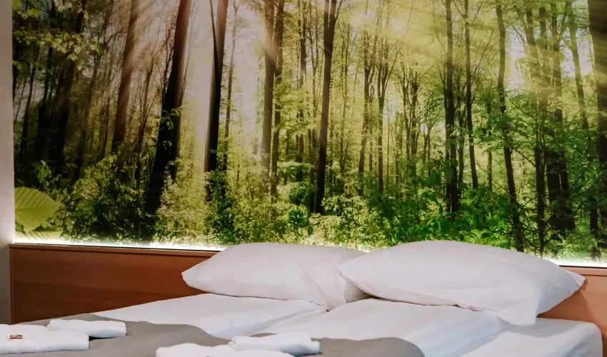 Park Hotel S�st� Ny�regyh�za - M�jus 1. - teljes el�refizet�ssel (min. 2 �j)