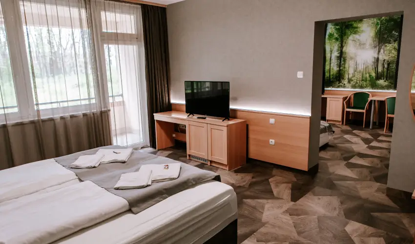 Park Hotel S�st� Ny�regyh�za - M�jus 1. - teljes el�refizet�ssel (min. 2 �j)