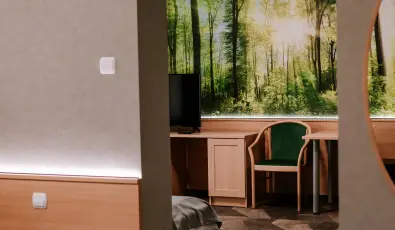 Park Hotel S�st� Ny�regyh�za