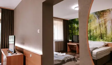 Park Hotel S�st� Ny�regyh�za