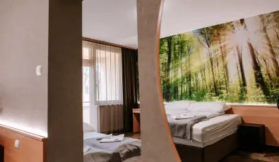 Park Hotel S�st� Ny�regyh�za