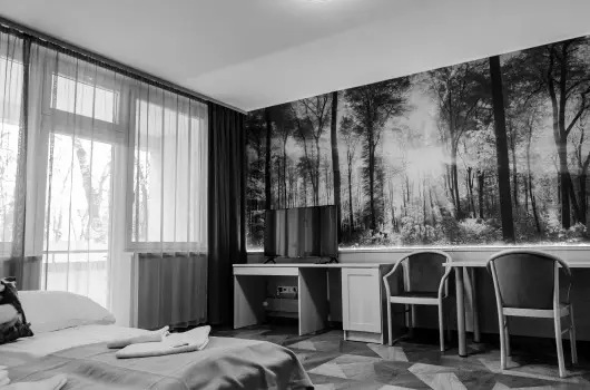 Park Hotel Sst - Mjus 1.