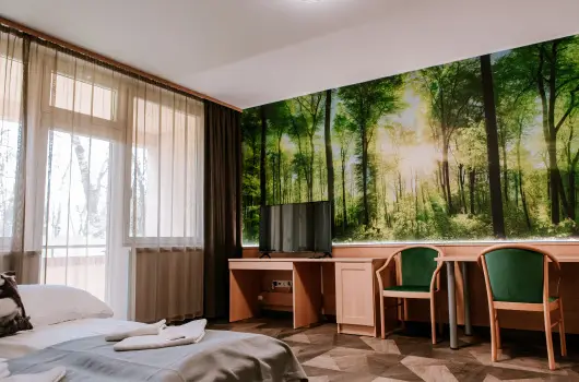 Park Hotel Sst - Mjus 1.