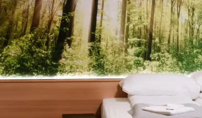 Park Hotel S�st� Ny�regyh�za