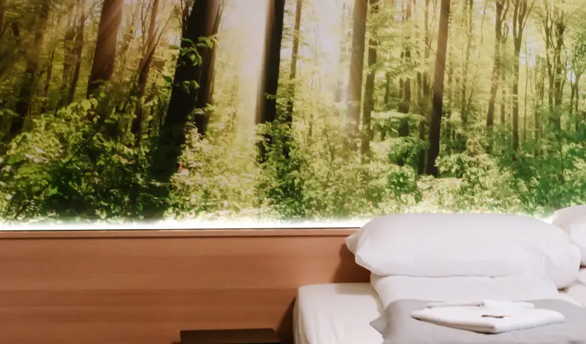 Park Hotel S�st� Ny�regyh�za - M�jus 1. - teljes el�refizet�ssel (min. 2 �j)