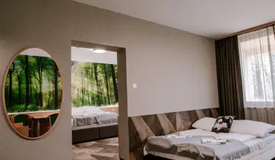 Park Hotel S�st� Ny�regyh�za