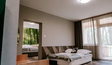 Park Hotel S�st� Ny�regyh�za