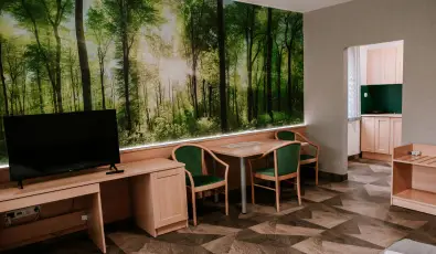 Park Hotel S�st� Ny�regyh�za