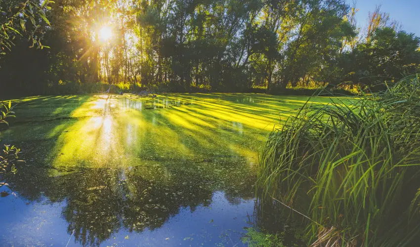 Park Inn by Radisson Zalakaros Resort & Spa Zalakaros - Majlis (min. 2 j)