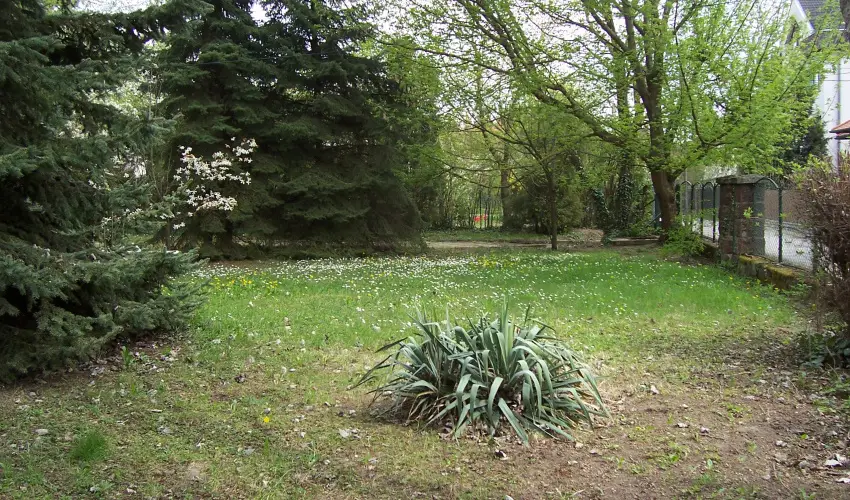 Parti S�t�ny Vend�gh�z Balatonkenese - M�jus 1.