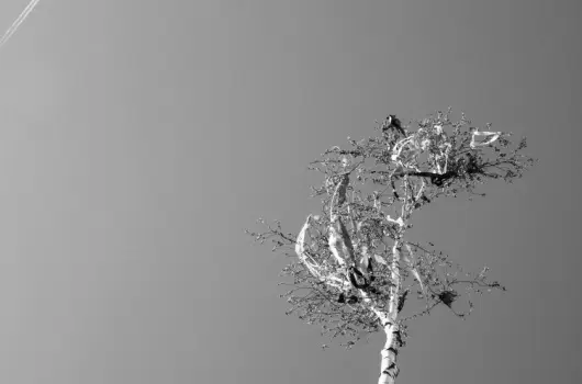 Patak Park Hotel - Mjus 1.