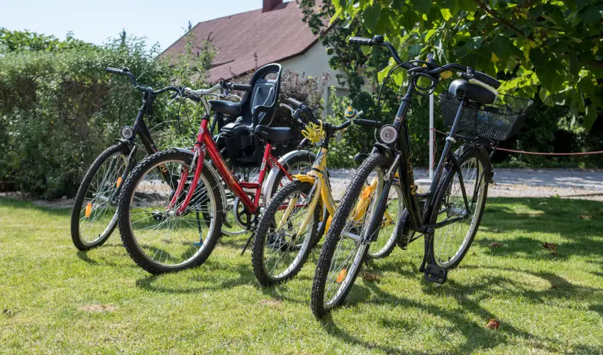 Pelso Panzi Balatonmriafrd - Mjus 1. (min. 3 j)