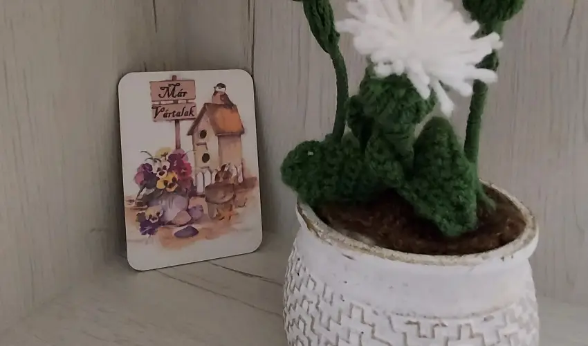 Pitypang Apartman Eger - Mjus 1. (min. 2 j)